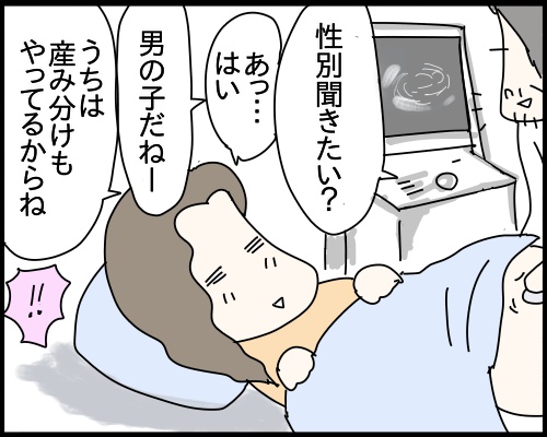 産み分けできる