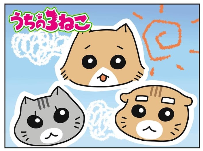 うちの3ねこを『ねこべや』から出すと…【うちの3ねこ】97-1 by 松本